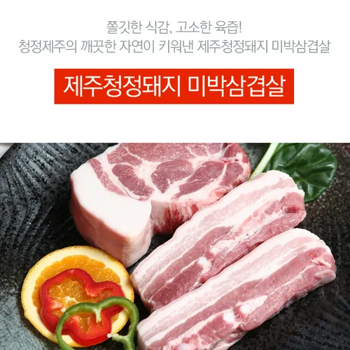 한라미트 PC · 모바일 화면