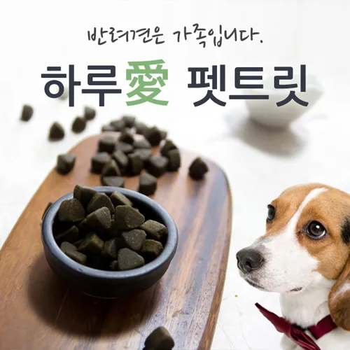 펫츠 PC · 모바일 화면
