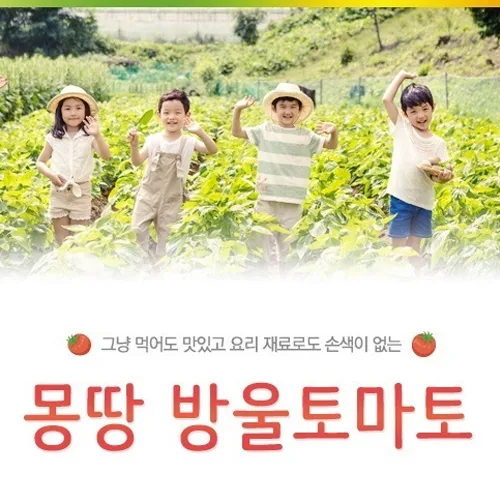 소쿠리 PC · 모바일 화면