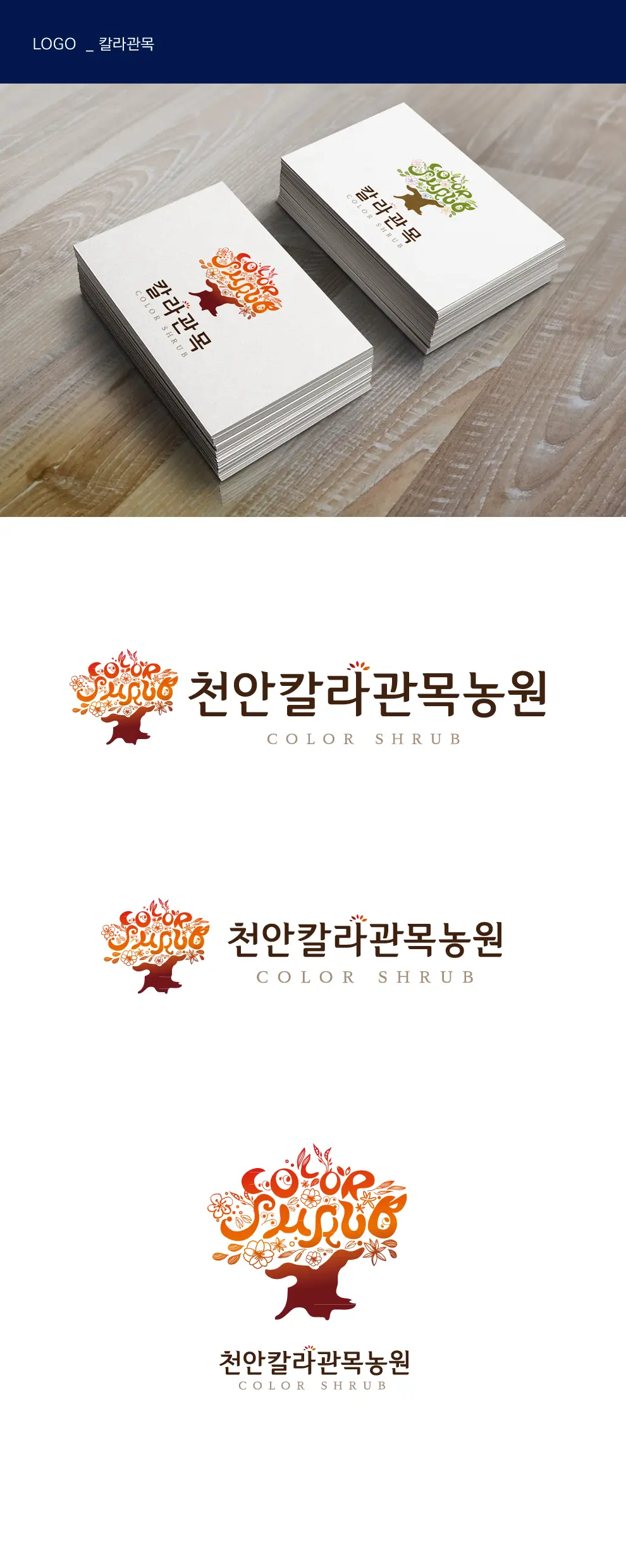칼라관목 PC 화면