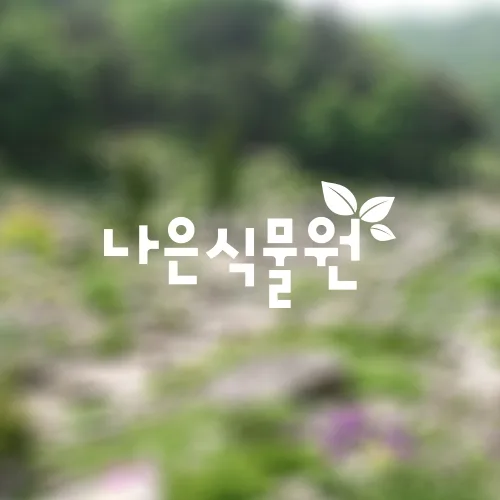 나은식물원 PC · 모바일 화면