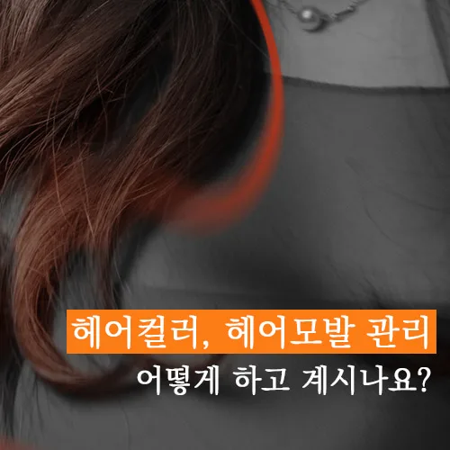 에스페소플러스 PC · 모바일 화면