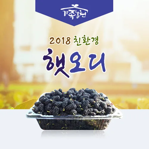가족농원 PC · 모바일 화면