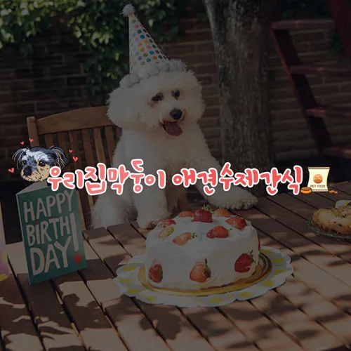 우리집막둥이 애견수제간식 PC · 모바일 화면