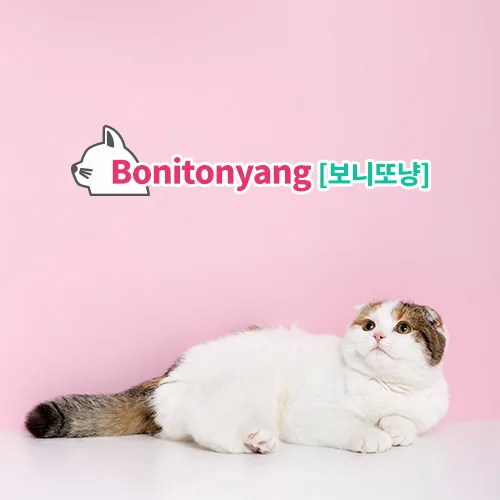 보니또냥 PC · 모바일 화면