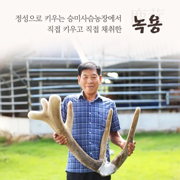 승미사슴농장 PC · 모바일 화면